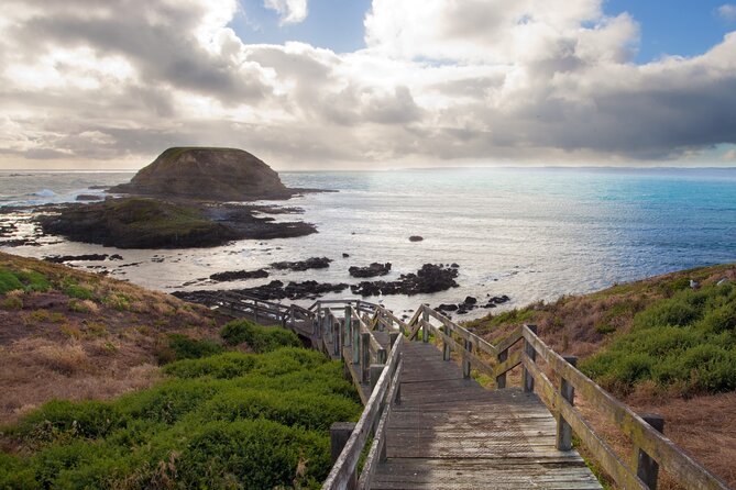 Puffing Billy And Phillip Island Penguin Parade Bus Tour - Pricing and Viator Information