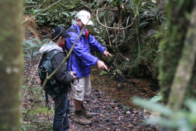 Puketi Rainforest Guided Walks .This Is Not a Shore Excursion Product . - Additional Requirements and Information