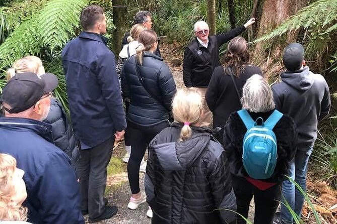 Punakaiki Blow Holes & Pancake Rocks Scenic Tour - Common questions