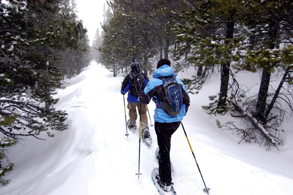 Quebec City: Jacques-Cartier National Park Snowshoeing Tour - Additional Information