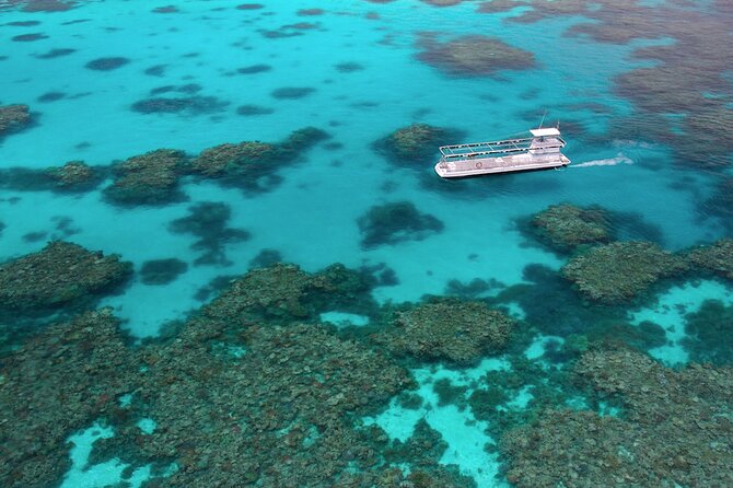 Quicksilver Great Barrier Reef Snorkel Cruise From Port Douglas - Overall Experience and Highlights
