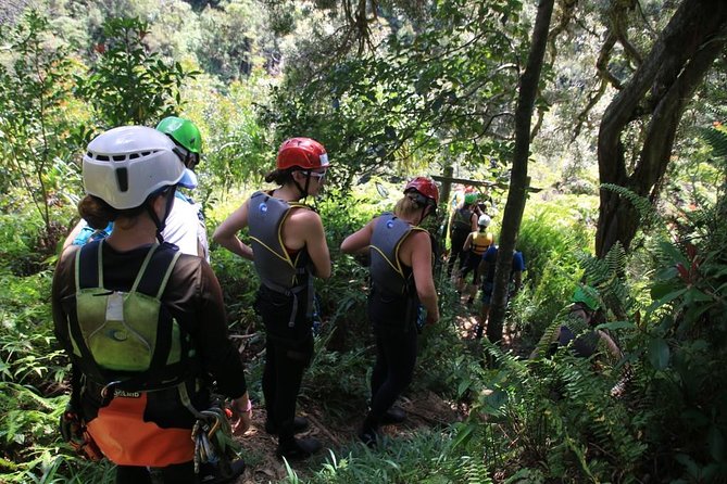 Rappel Maui Waterfalls and Rainforest Cliffs - Common questions