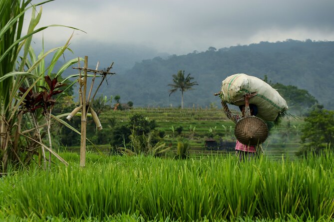 Real and Raw Bali Cultural Experience - AWay From Home - Engaging With Local Balinese Communities