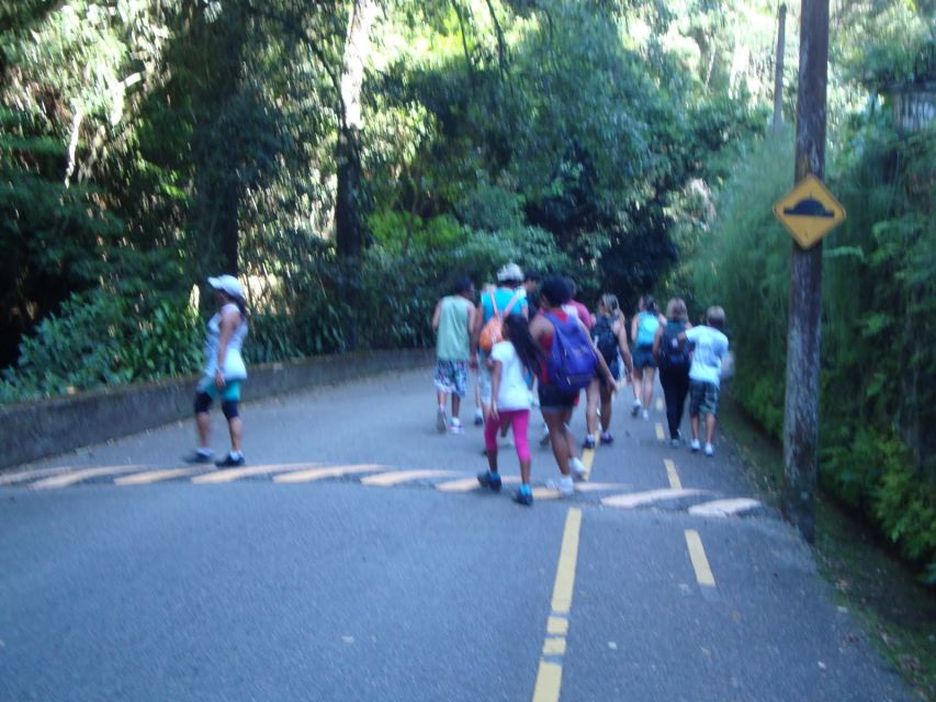 Rio: Tijuca Forest Historical Hike & Cachoeira Das Almas - Guest Reviews & Additional Information