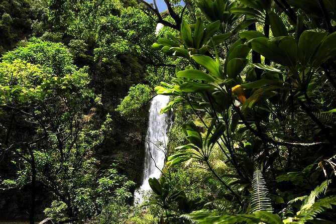 Road to Hana Luxury Limo-Van Tour With Helicopter Flight - Sum Up