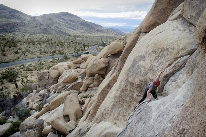 Rock Climbing Trips in Joshua Tree National Park (4 Hours) - Customer Reviews