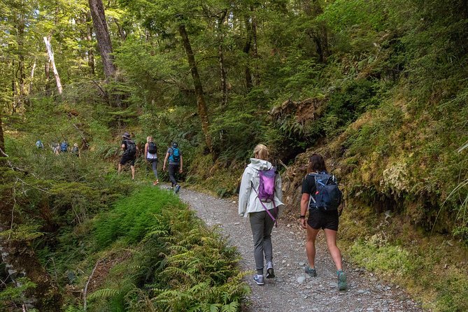 Routeburn Track Guided Walk (Half-Day) - Host Responses and Tour Highlights