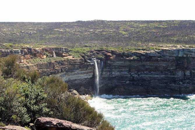 Royal National Park Tour - Customer Testimonials