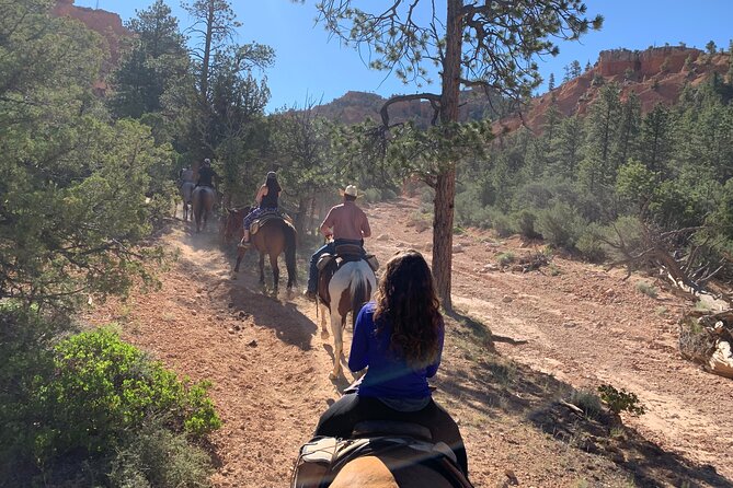 Rubys Horseback Adventures Utah Half Day Ride - Expectations and Restrictions