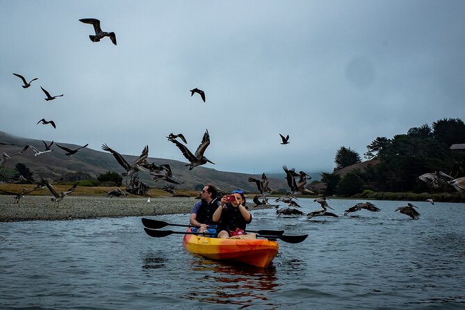 Russian River Kayak Tour at the Beautiful Sonoma Coast - Common questions