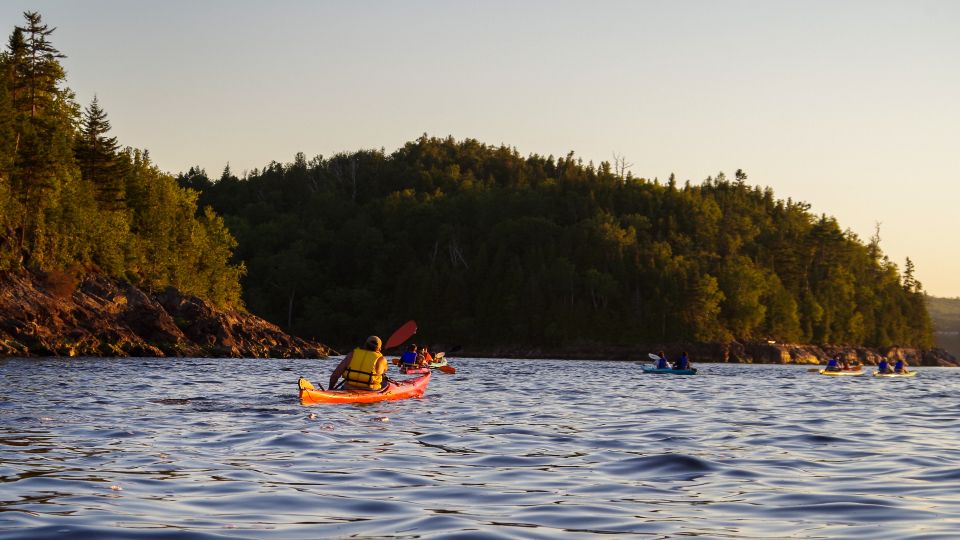 Saint John River: River Relics Kayak Tour - Sum Up
