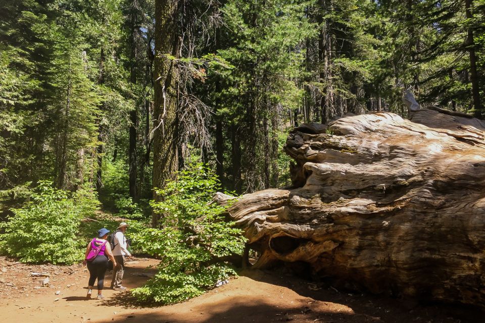 San Francisco: Day Trip to Yosemite With Giant Sequoias Hike - Booking Details