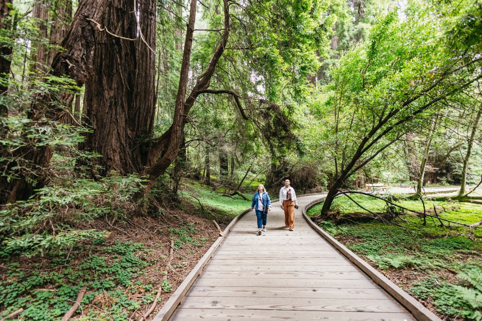 San Francisco: Muir Woods, Napa & Sonoma Valley Wine Tour - Product Information