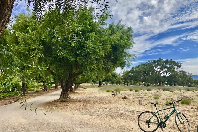 Santa Ynez Valley Biking and Wine Tasting Tour - Wine Tasting Experience