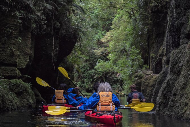 Scenic Lake McLaren Kayak Tour - Inclusions and Safety