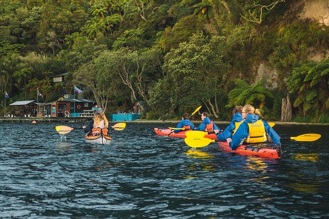 Scenic Lake Rotoiti Kayak Tour - Booking and Availability