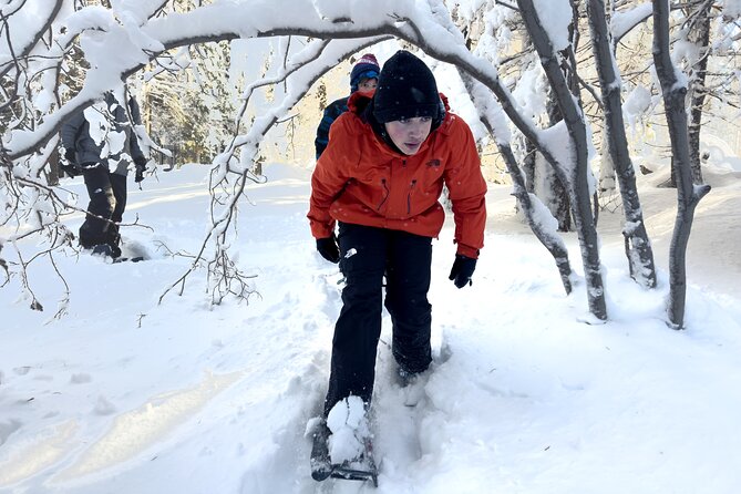 Scenic Snowshoe Adventure in South Lake Tahoe, CA - Cancellation Policy Overview