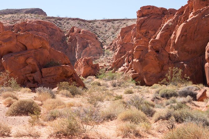 Scenic Valley of Fire 3-Hour ATV or Quad Ride Along Tour - Directions