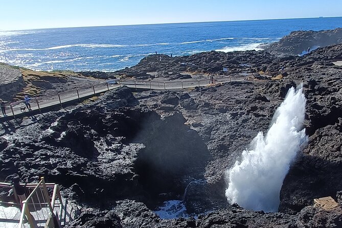 Sea Cliff Bridge, Blowhole, Beaches & Farmlands- Escape the City - Common questions