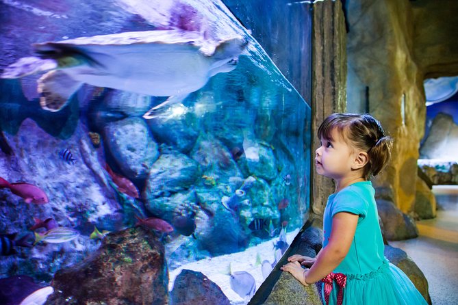 SEA LIFE Aquarium Arizona Admission Ticket - Lowest Price Guarantee