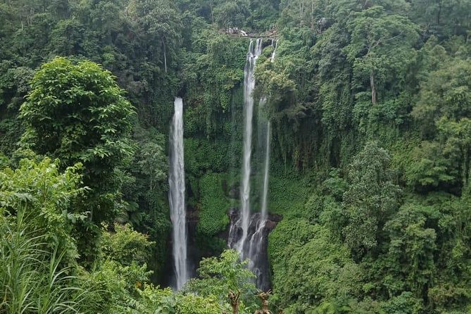 Sekumpul and Aling-Aling Waterfalls Private Tour With Jumps  - Nusa Dua - Cancellation Policy