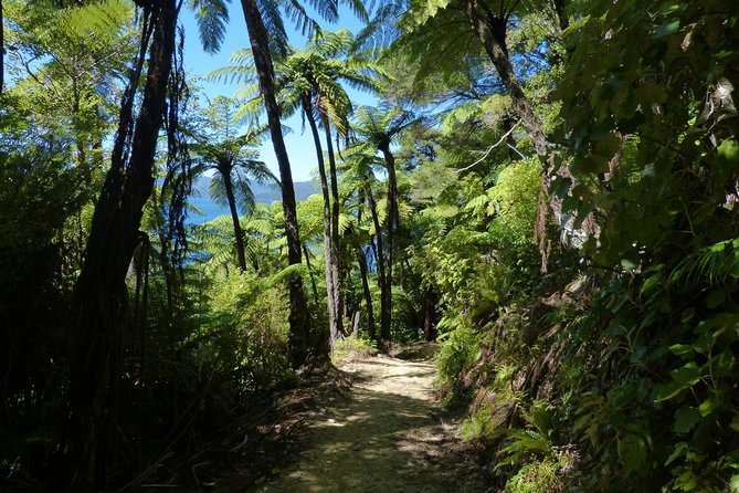 Self-Guided Queen Charlotte Track Walk From Picton - Refund and Cancellation Policies