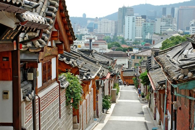 Seoul Private Tour With Hidden Gem of Seoul - Shopping Opportunities