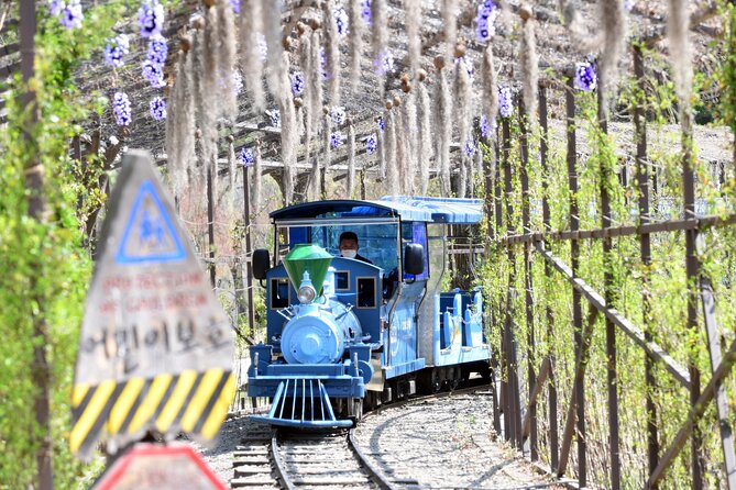 Seoul to Nami Island Round Trip Shuttle Bus Service - Contact and Support