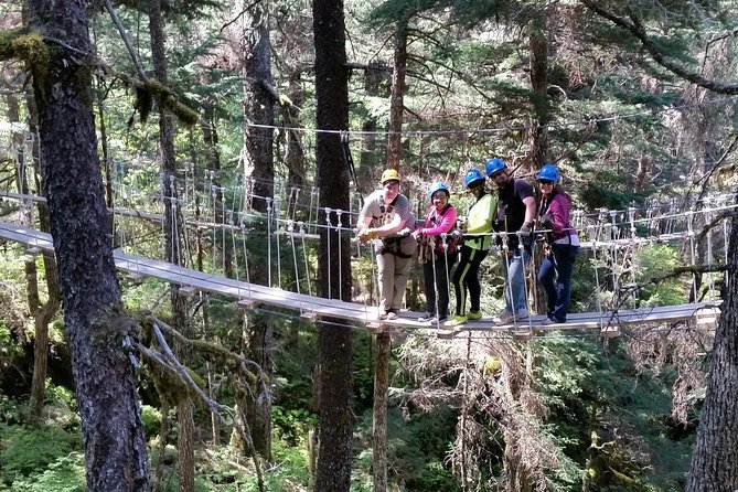 Seward Alaska Small-Group Ziplining Experience in Nature - Meeting Point