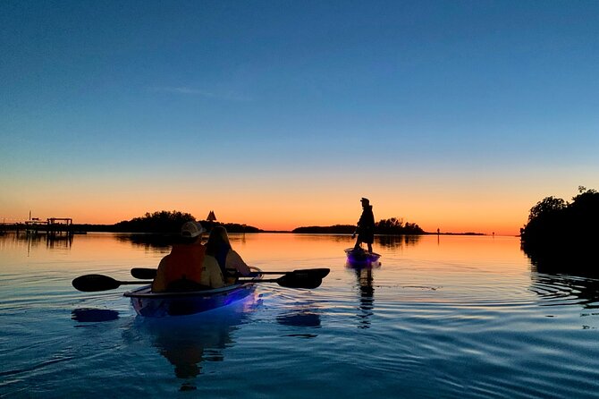 Shell Key Clear Kayak Glow in the Dark Tour - Host Responses and Appreciation