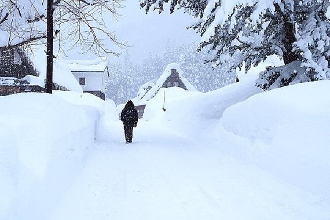 Shirakawago and Takayama 2 Days Tour From Osaka or Kyoto - Optional Activities