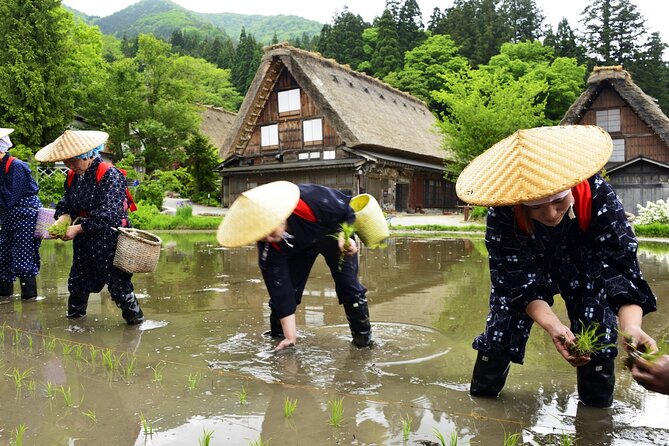 Shirakawago Day Trip: Government Licensed Guide & Vehicle From Takayama - Contact Details