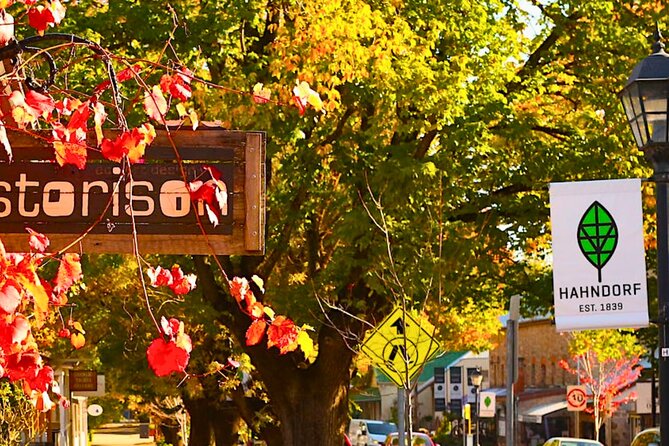 Shore Excursion: Hahndorf Hidden Gems - Shopping and Local Crafts