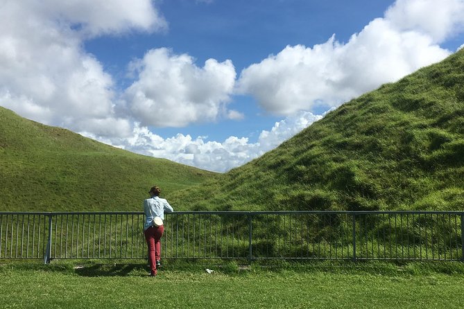 Shore Excursion: Half-Day Auckland Volcanoes Tour - Common questions