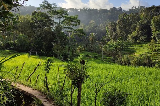 Sidemen Trekking With a Close View of Mt Agung - Transparent Pricing Information