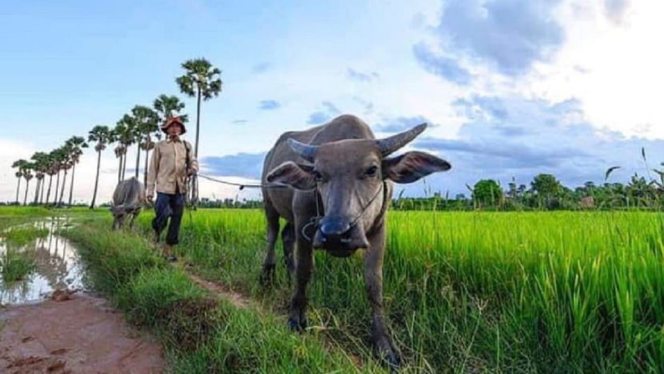 Siem Reap: Countryside and Lifestyle Private Tour by Jeep - Sum Up