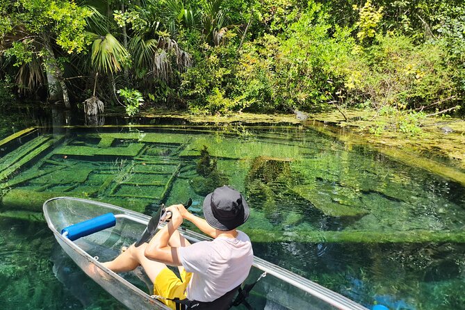 Silver Springs Clear Kayak Or Paddle Board Wildlife Tour  - Orlando - Tour Experience Highlights