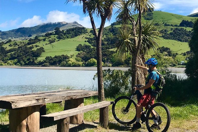 Small-Group 2.5-Hour E-Bike Cycling Tour, Akaroa Harbour - Common questions