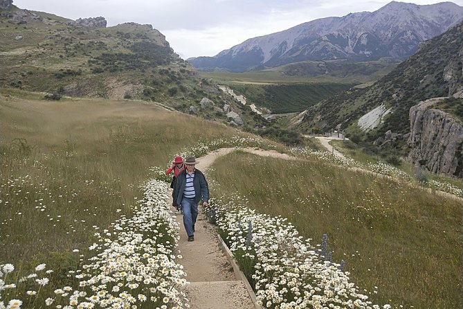 Small-Group Day Tour by Train From Christchurch, Arthurs Pass - Scenic Southern Alps Landscapes