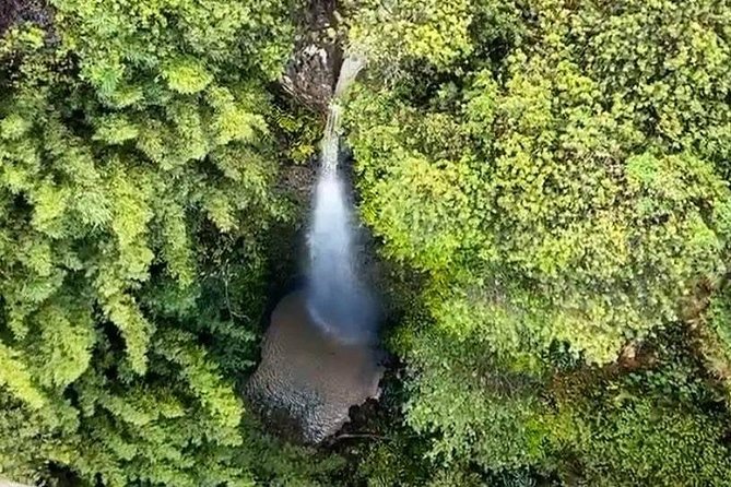 Small-Group Half-Day Maui Zipline Tour - Cancellation Policy