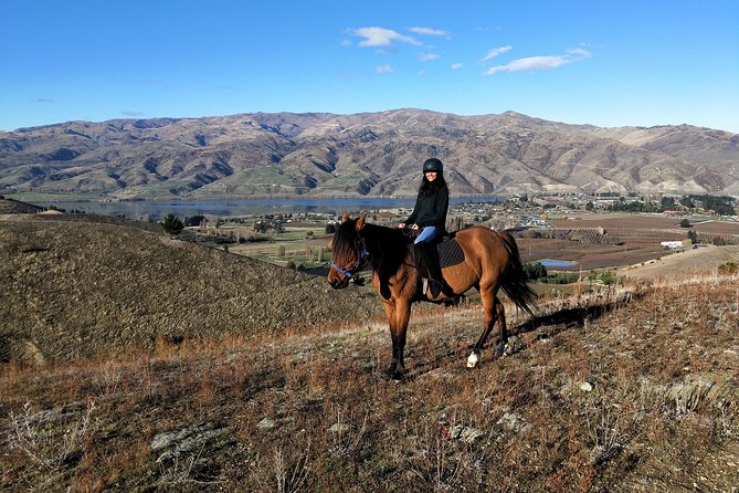 Small-Group Horse Trekking, Central Otago  - Queenstown - Local Tips and Recommendations