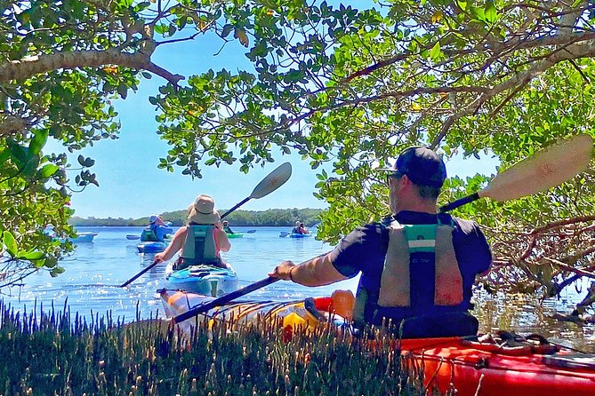 Small Group Kayak Tour of the Shell Key Preserve - Booking Information and Support