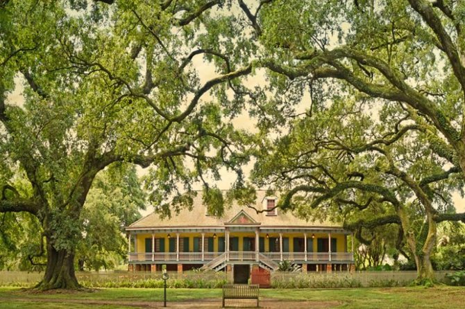 Small-Group Laura and Whitney Plantation Tour From New Orleans - Tour Overview