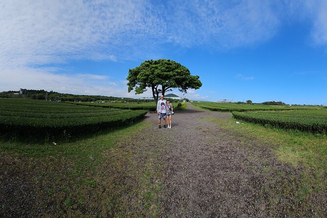 Small Group Private Day Tour - South of Jeju Island - Important Reminders