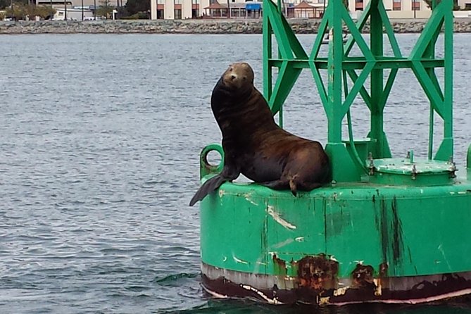 Small-Group Sunset Sailing Experience on San Diego Bay - Logistics and Timing