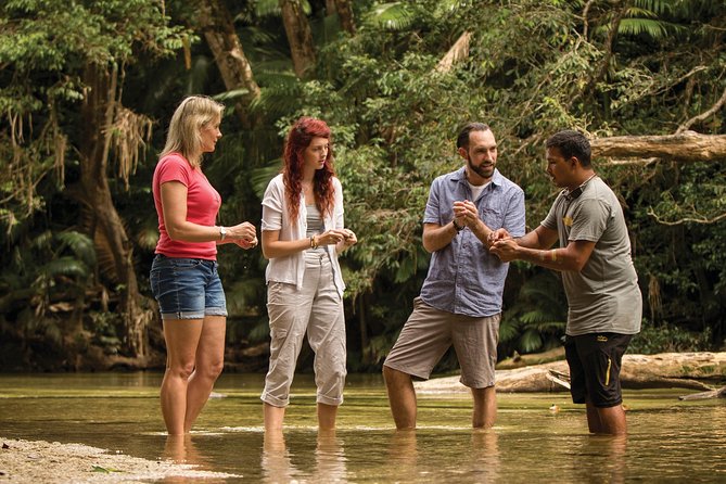 Small-Group Tour of the Daintree With an Aboriginal Guide  - Port Douglas - Additional Details