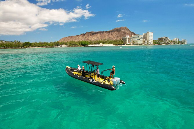 Snorkel & Swim With Turtles! Minutes From Waikiki - Pricing Information