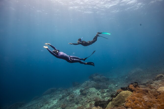 Snorkeling and Freediving Trip Around Nusa Penida - Weather-Related Considerations