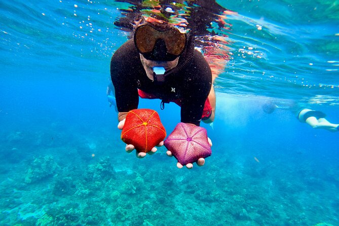 Snorkeling for Non-Swimmers at Wailea Beach - Directions