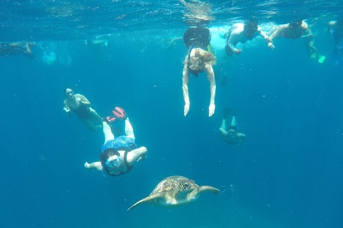 Snorkeling Tour In Gili Trawangan, Gili Meno And Gili Air Pick Up From Bali - Common questions